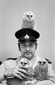 Three young baby owls with RSPCA officer David Barnes. May 1975 Three young baby owls with RSPCA officer David Barnes. May 1975
