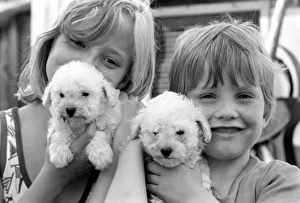 A young boy and girl with terrier puppiesy at the Frant Kennels in Hildenborough near A young boy and girl with terrier puppiesy at the Frant Kennels in Hildenborough near