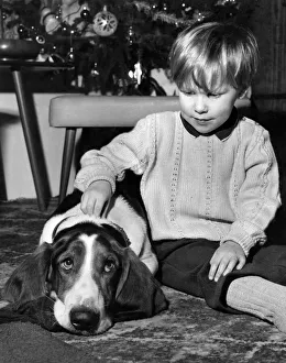 Young boy at home playing his pet Basset hound dog. December 1971 P007449 Young boy at home playing his pet Basset hound dog. December 1971 P007449