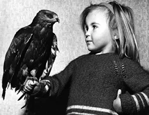 A young child holding a young Honey Buzzard found with damaged wing and tail feathers A young child holding a young Honey Buzzard found with damaged wing and tail feathers