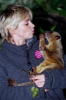 Zoe Ball Radio/TV Presenter October 1998 At London Zoo holding a baby bear she has Zoe Ball Radio/TV Presenter October 1998 At London Zoo holding a baby bear she has