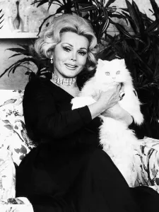 Zsa Zsa Gabor Actress sitting holding a white persian pussy cat dbase msi Zsa Zsa Gabor Actress sitting holding a white persian pussy cat dbase msi
