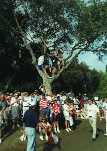 Ryder Cup Spectators Up Trees Print