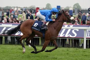 Punctilious Print - 2004 York Horse Racing Photo