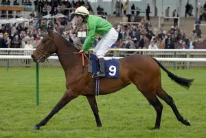 Ruby Rocket Print - Newmarket Craven Meeting 2005