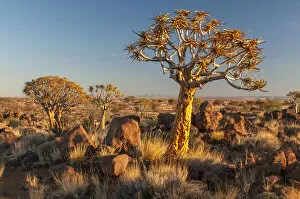 Namibia Collection: Africa