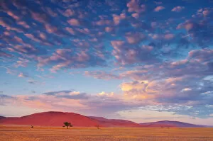 Namibia Collection: Africa