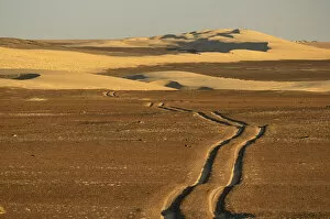 Namibia Collection: Desert