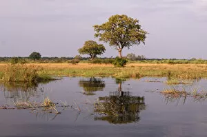 Namibia Collection: Kwando River