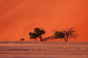 Namibia Collection: Namibia