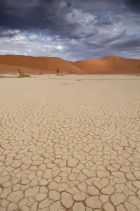Dead Vlei Print, Namib Naukluft National Park Landscape
