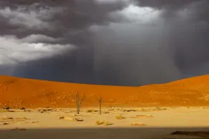 Dead Vlei Storm Print, Namib Naukluft Landscape