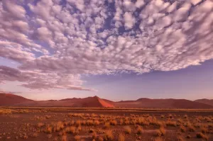 Sossusvlei Sand Dunes Africa Prints: Desert