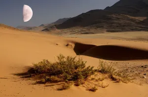 Desert Sand Dunes Print, Kunene River Landscape