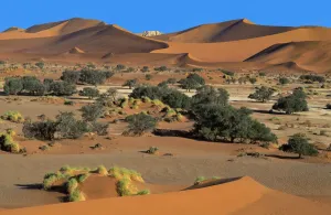 African Desert Adventure Prints: Desert Dunes