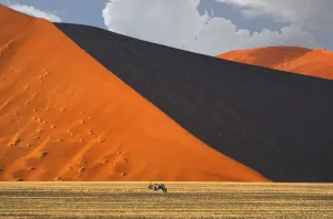 Namibia Prints: Gemsbok Print - Sossusvlei Landscape in Namib-Naukluft National Park