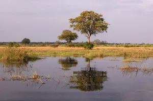 Kwando River Print, Susuwe Island Lodge
