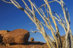 Namibia Prints: Namibia Print: Damaraland Landscape with Namib and Movani Boulders