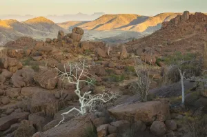 Namibia Desert Landscape Print