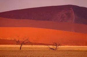 Sossusvlei Sand Dunes Print