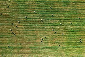 Images Dated 26th August 2019: Aerial View of Summer Field Landscape With With Dry Hay Bales During Harvest