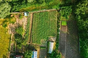 Russia Collection: Aerial View Of Vegetable Garden In Small Town Or Village. Potato Plantation And Greenhouse At