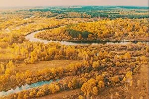 Russia Collection: Aerial view yellow forest and river landscape in sunny autumn day