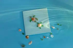 Glass Turtle Print on Light Blue Background