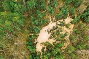 Russia Collection: Belarus. Aerial View Of Mixed Forest. Afforestation. Entry Of Sandy Soil In Forest