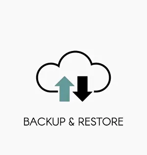 Data Cloud Icon Print