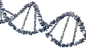 DNA Structure Print: Microscopic View of Genetic Information Molecules