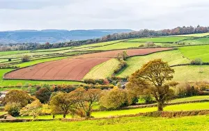 Fall Landscape Print of Devon Countryside