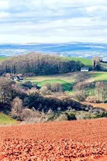 Devon Landscape Print, Fields and Farmlands in Spring