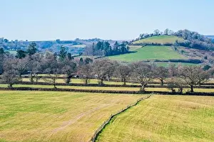 Spring Landscape Print of Devon Fields from a Drone