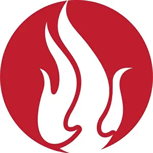 Fire Logo Print Template Vector Icon