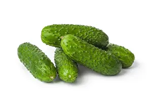 Cucumber Print on White Background