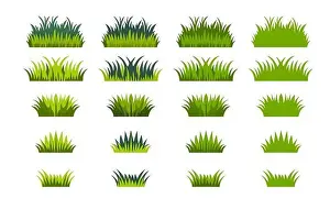 Grass Print on White Background