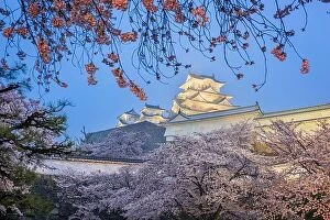 Images Dated 8th April 2017: Himeji, Japan at Himeji Castle during spring cherry blossom season at twilight