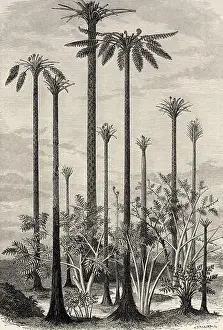 Landscape Photography Prints: Primitive Landscape Print, 19th Century Engraving