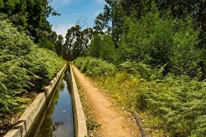 Images Dated 1st June 2024: Levada Nova Print in Calheta Madeira