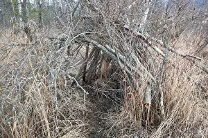 Makeshift Tree Branch Shelter Print