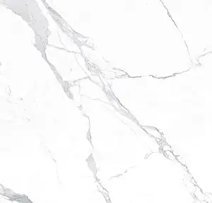 High Resolution Marble Print