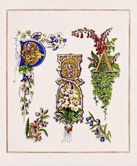 Medieval Alphabet Initials Print