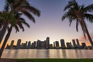 Images Dated 29th December 2017: Miami, Florida, USA skyline on Biscayne Bay with palms at dusk