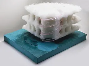 Hurricane Model Print JE996