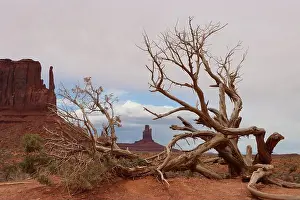 Monument Valley Landscape Print