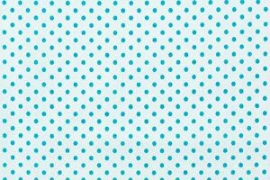 Images Dated 7th November 2016: Polka dots in white and blue pattern fabric