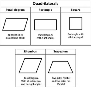 Print of Quadrilaterals: Parallelogram, Rectangle, Square, Rhombus, Trapezium