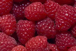 Still-life Raspberries Print