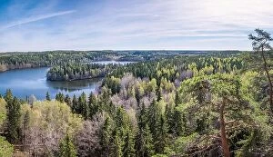 Finland Collection: Scenic forest landscape with lake and trees at bright sunny spring day in Finland